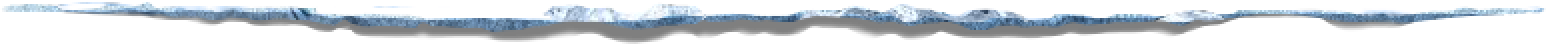 Footer Divider