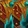 Life-Bearing Footpads Icon