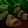 Glacier Walkers Icon
