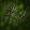 Cinch of Cosmic Insignificance Icon