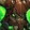 Ceann-Ar Charger Icon