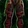 Repulsive Leathery Pants Icon