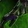 Gloves of Synchronus Elements Icon