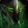 Mask of Multitudinous Eyes Icon