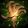 Flames of the Black Harvest Icon