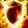 Protected Icon